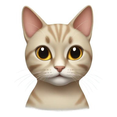 Cat that looks like eminiem sticker