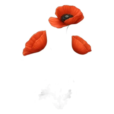 Red Poppy sticker