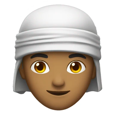 Ninja brasileño  sticker