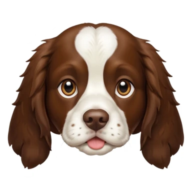  Springer Spaniel  sticker