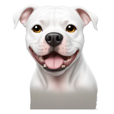 white pitbull with one black eye sticker