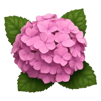 Pink hydrangeas  sticker