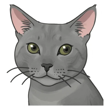 Gray Cat with one clipped ear sticker