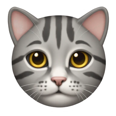 small gray tabby fold cat sticker