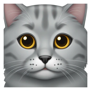 Gray Scotish fold cat sticker