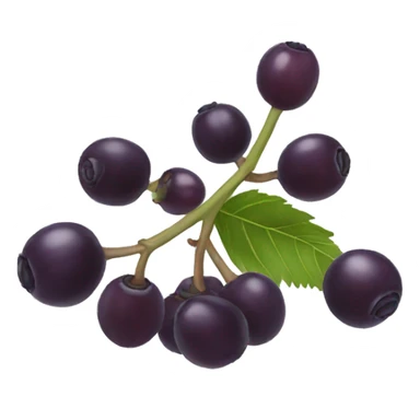 Elderberry sticker