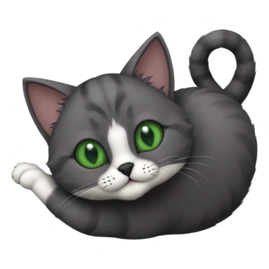 solid dark grey cat with green eyes, completely solid grey face, white toes/paws playing rolling upside down sticker