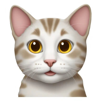 cat wearing tue sticker