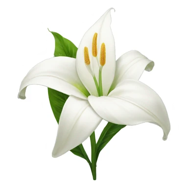 Peace lilies flower sticker