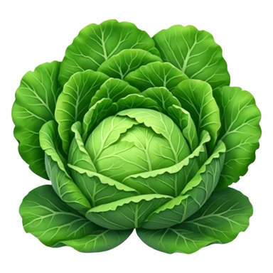 cabbage sticker