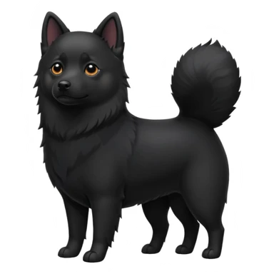 Schipperke standing sticker
