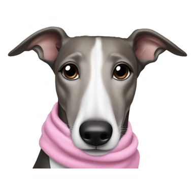 Black and white greyhound wearing a tiara and a pink scarf  sticker
