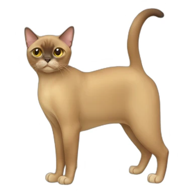 Burmese Cat Full Body sticker