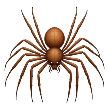domestic house spider emoji, simple and round sticker