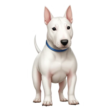 Perro bull terrier ingles sticker