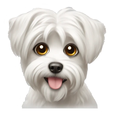 Maltese Lapdog sticker