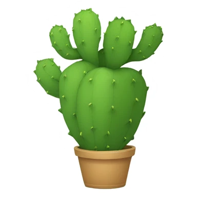 single flat Nopal without pot sticker