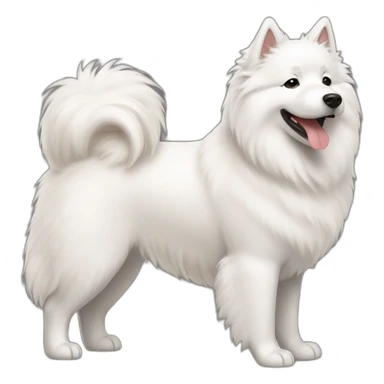 Samoyedo feliz sticker