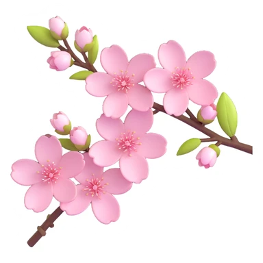 elegant cherry blossom flowers on a branch, glossy, soft pink and white petals, modern and fresh sticker