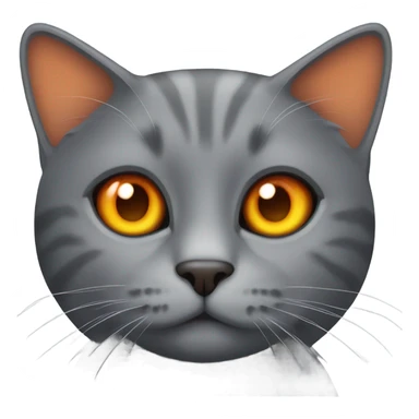 gray cat with orange eyes sticker