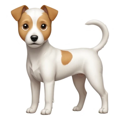 a full body slightly chubby white parson russell terrier looking dog the size of a kelpie with light brown long ears and a light brown patch on one eye and a large snout. the rest of the dog is completely white sticker
