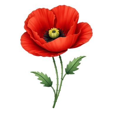 Red poppy flower sticker
