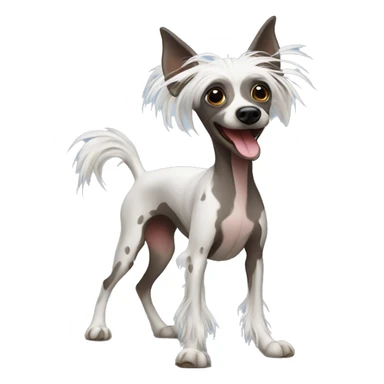 Dancing chinese crested dog sticker