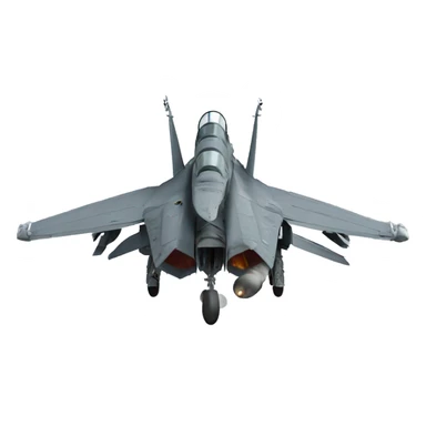 US Navy F-14 tomcat Fighter aircraft with  missiles sticker