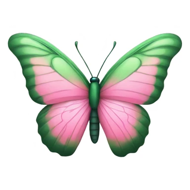 Green pink butterfly sticker