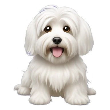 Havanese dog white sticker