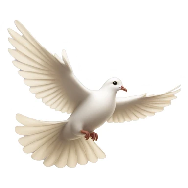 Flying white dove in golden light  sticker