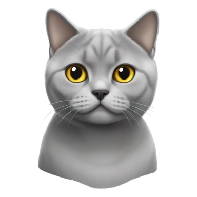 British shorthair white nose grey  sticker