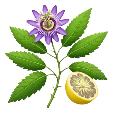lavender, passion flower, ashwagandha roots, lemon balm sticker