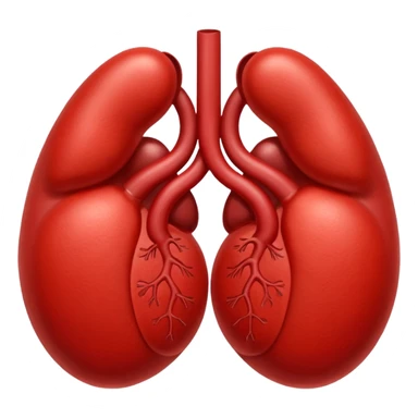 kidneys sticker