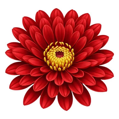 chrysanthemum flower full red sticker