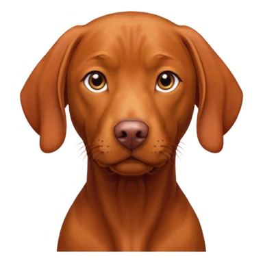 vizsla sticker
