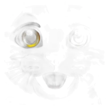 Sweat with a cat sticker