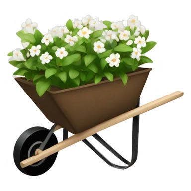 Brown wheelbarrow with white flowers inside no green  sticker