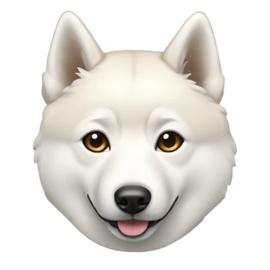 jindo with more white on right side sticker