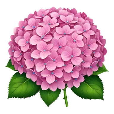 Pink hydrangeas bouquet  sticker