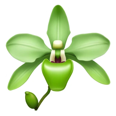 Green orchid flower sticker
