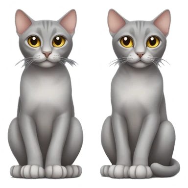 gray cat sphinx sticker