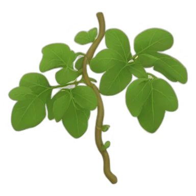 kiradol vine sticker