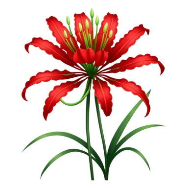 Lycoris Radiata red spider lily flower with a single stem sticker