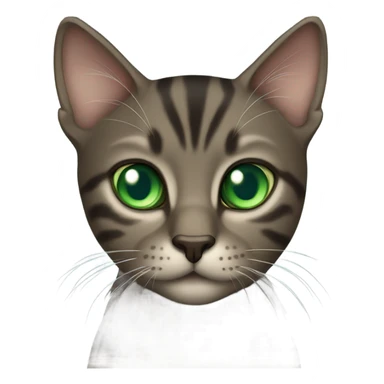 Dark tabby cat with green/blue eyes sticker