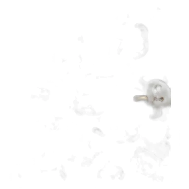 kitten battle sticker