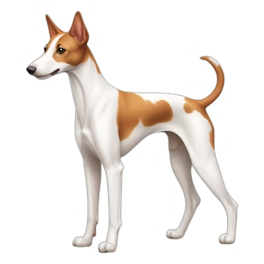 Ibizian hound dog full body sticker