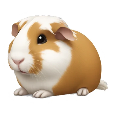 Guineapig laying down  sticker
