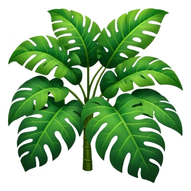 Rainforest sticker