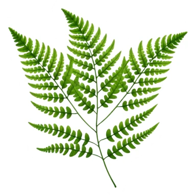 Fern sticker